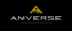 global.amverse.in